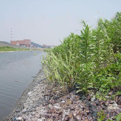 河道綠格網(wǎng)